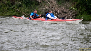 Unterer Neckar42.jpg