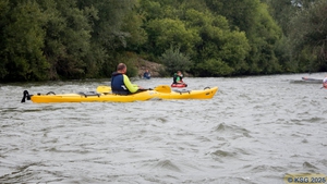 Unterer Neckar43.jpg