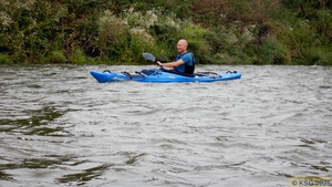Unterer Neckar46.jpg