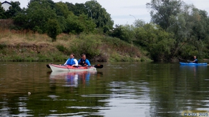 Unterer Neckar56.jpg
