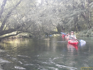 Groschenwasser61.jpg