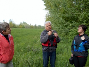 In-den-Tag-Paddeln-2015-37-H.jpg