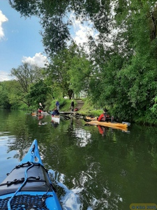 Neckar10.jpg