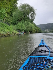 Neckar11.jpg