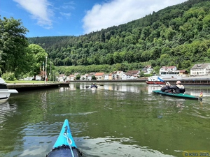 Neckar12.jpg