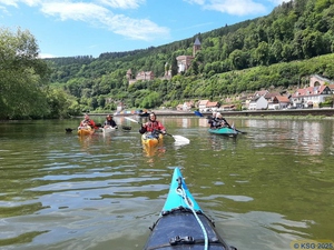 Neckar14.jpg