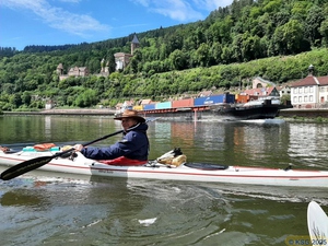 Neckar15.jpg