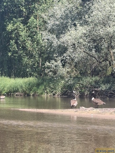 Moder06.jpg