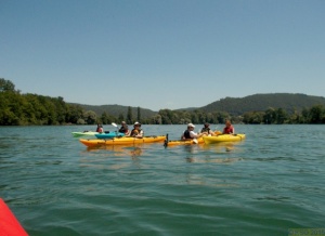 Hochrhein_2015_157.jpg