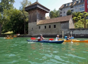 Hochrhein_2015_165.jpg