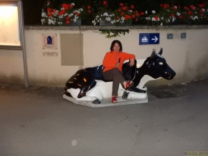 Hochrhein_2015_170.jpg
