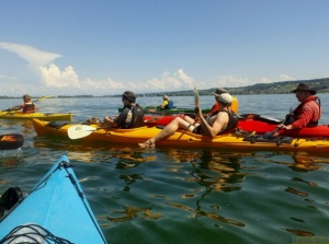 Hochrhein_2015_185.jpg