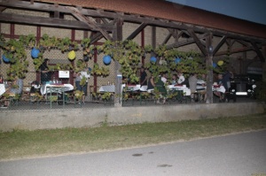 2016_Mitgliederfest 24.jpg